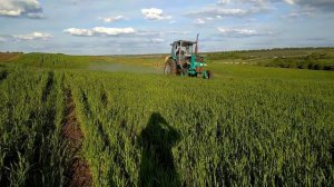 ЮМЗ-6 КЛ Опрыскиваем пшеницу!