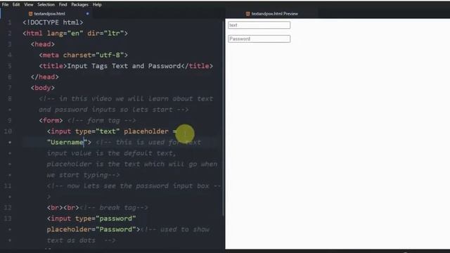 How to create text/input fields in HTML? | Text and Password Inputs | HTML Beginners