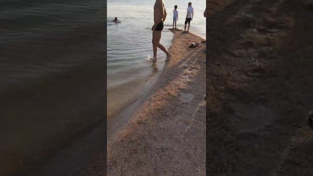 Должанская коса , краснодарский край, азовское море