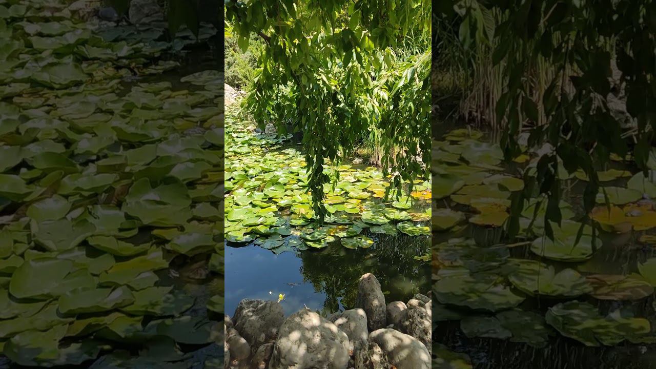 Уголок релакса смотреть онлайн