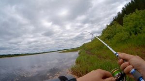 Рыбалка на реке Пинега. Спиннинг с берега. Вылазка в тайгу.