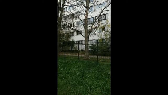 Прогулки интроверта в эпоху Covid-19 смотреть онлайн