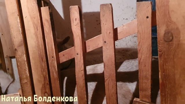 Почему коза орет?//Делаем нычки//Ядовитые витамины смотреть онлайн