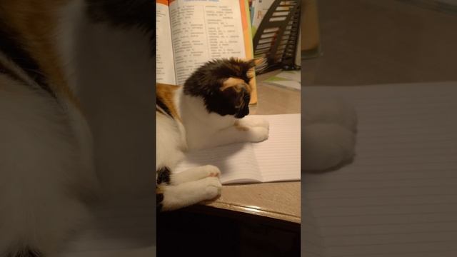 ну и как с этим чудом уроки делать??? смотреть онлайн