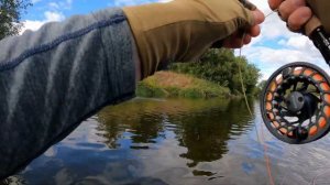 Нахлыст на Москва-реке в сентябре (Голавль еще не спит!)