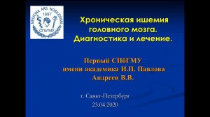 Андреев В.В. Хроническая ишемия головного мозга. Диагностика и лечение.