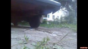 проблемы с маслосъемными колпачками сальниками клапанов