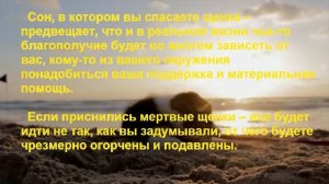К чему снится ЩЕНОК? Толкование снов.