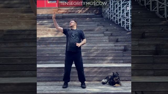 Магические пассы Тенсегрити