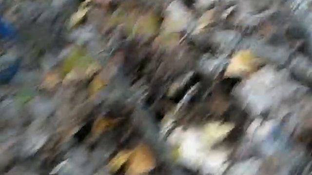 Грузди смотреть онлайн