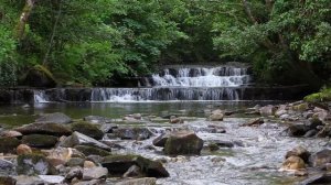 Natures Calming Sounds for Relaxation & Meditation Sound of a Waterfall & Birdsong Johnnie Lawson