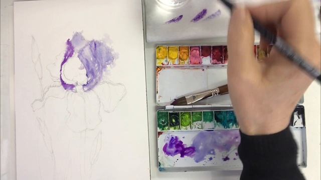 Watercolor Painting - Purple Iris-Tutorial Step by Step. смотреть онлайн