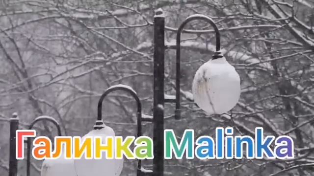 Тупость хейтеров запредельна ?#анастасиямакеева #романмальков#вместенавсегда #собакилаюткараванидет