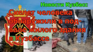 Скелет человека обнаружили в подвале жилого здания в Кузбассе