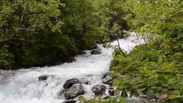 Самый крутой мальчишник
