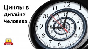 Циклы в Дизайне Человека