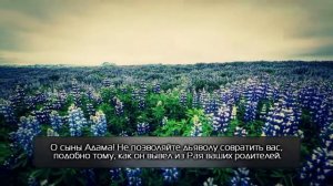 Ясир ад Даусари Сура «Преграды» 22-34 аяты