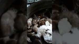 Маринуем подберезовики