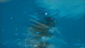 Девочка 2,5 лет плавает под водой лучше водолазов