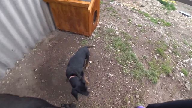 Сидим дома с пользой. Посадила рассаду и семена. смотреть онлайн