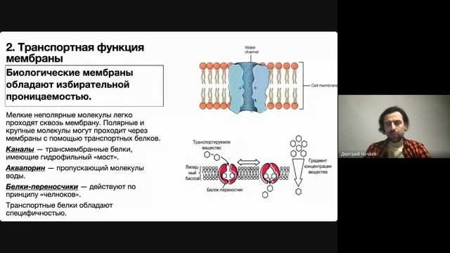 Биологические мембраны смотреть онлайн
