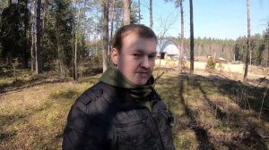 Мульча для голубики. Где достать и сколько стоит.