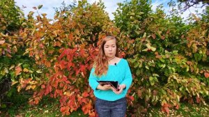 Какая профессия подходит вам? Число Души 2. Тем, кто родился 2, 11, 20, 29 числа