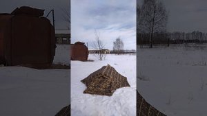 Мания Гравитация