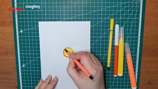 Новикова О.Н. Мастер-класс 
