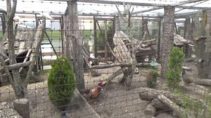 ПТИЦЫ ЗООПАРКА ДИПРИЗ