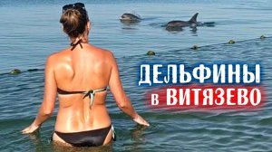 Дельфины в Анапе (Витязево)