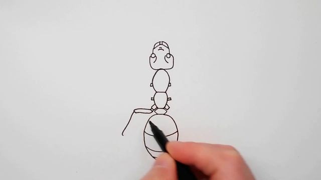 How to draw an ant - learn to draw insects step by step смотреть онлайн
