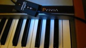 Casio Privia PX500L