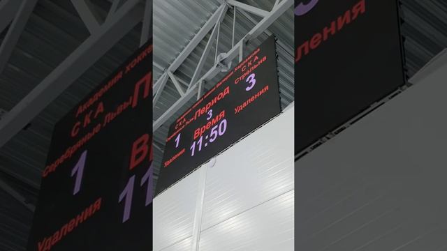 Взгляд из-за ворот... Львы-СКА СТРЕЛЬНА 08.09.22... не забудьте подписаться!☝️? смотреть онлайн