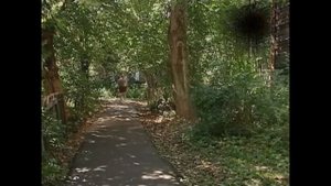 Солдаты: Староконь без штанов