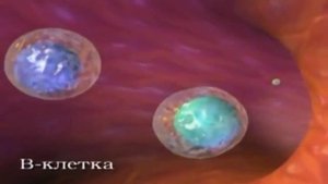 Исцеление эндокринной системы (христианская практика)