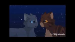 Жёлудь и Синяя звезда-Коты воители