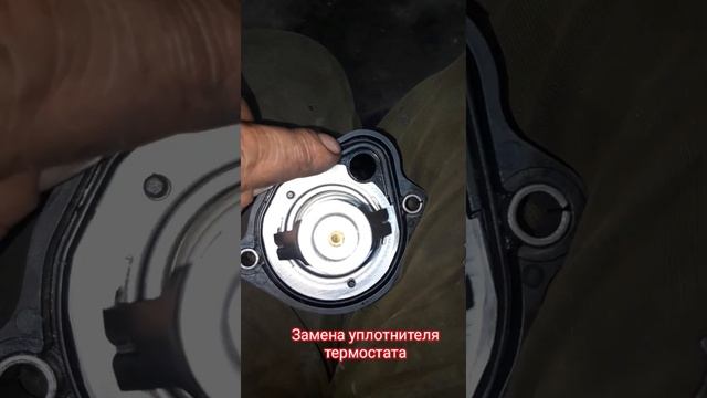 Ford Focus 2 замена передних колодок замена приводного ремня ролика замена уплотнителя термостата смотреть онлайн