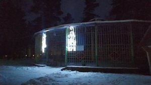 Жуковка. 29 Декабря 2021