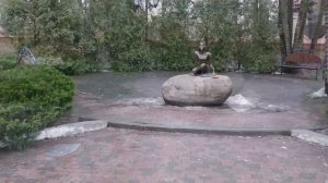 1000017098.mp4"чайка в Светлогорске" 15января2024 года