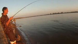 Ловля жереха весной в Астрахани 2