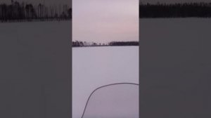 Снегохот стелс мороз