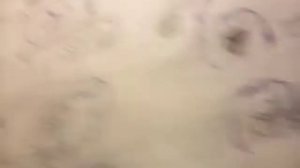 Рассказываю Про  Самые Первые Старинные Кондиционеры - 1 Элемаш 2 BLUE STAR 3  Toiler .