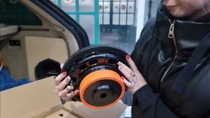 DL AUDIO Barracuda 10 Flat