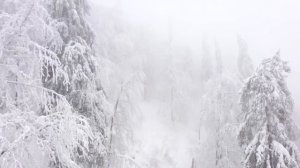 Сказ Велеса о том, как знания получать из источника Вселенского…