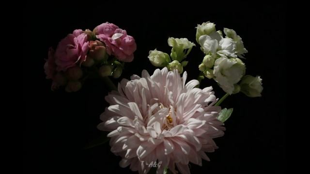 Gramophone ~ Eugen Doga ~ Waltz смотреть онлайн