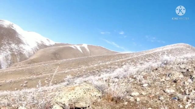 Охота на кеклика