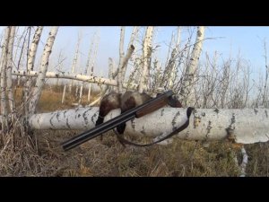 Охота на селезня!!!! Селезни уже боятся лететь ко мне по одному!!! МР 27
