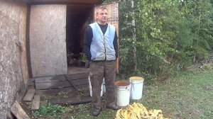 Табак и плесень.