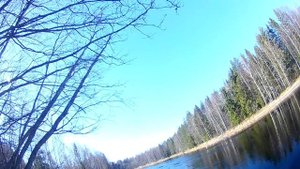 Промысловые виды ловли рыбы.